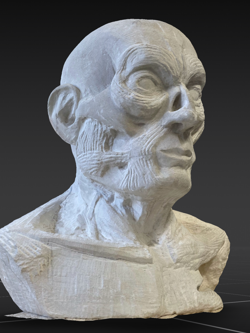 A sculpture of a human head showing muscles and skull intertwined. It is carved in white Portland stone